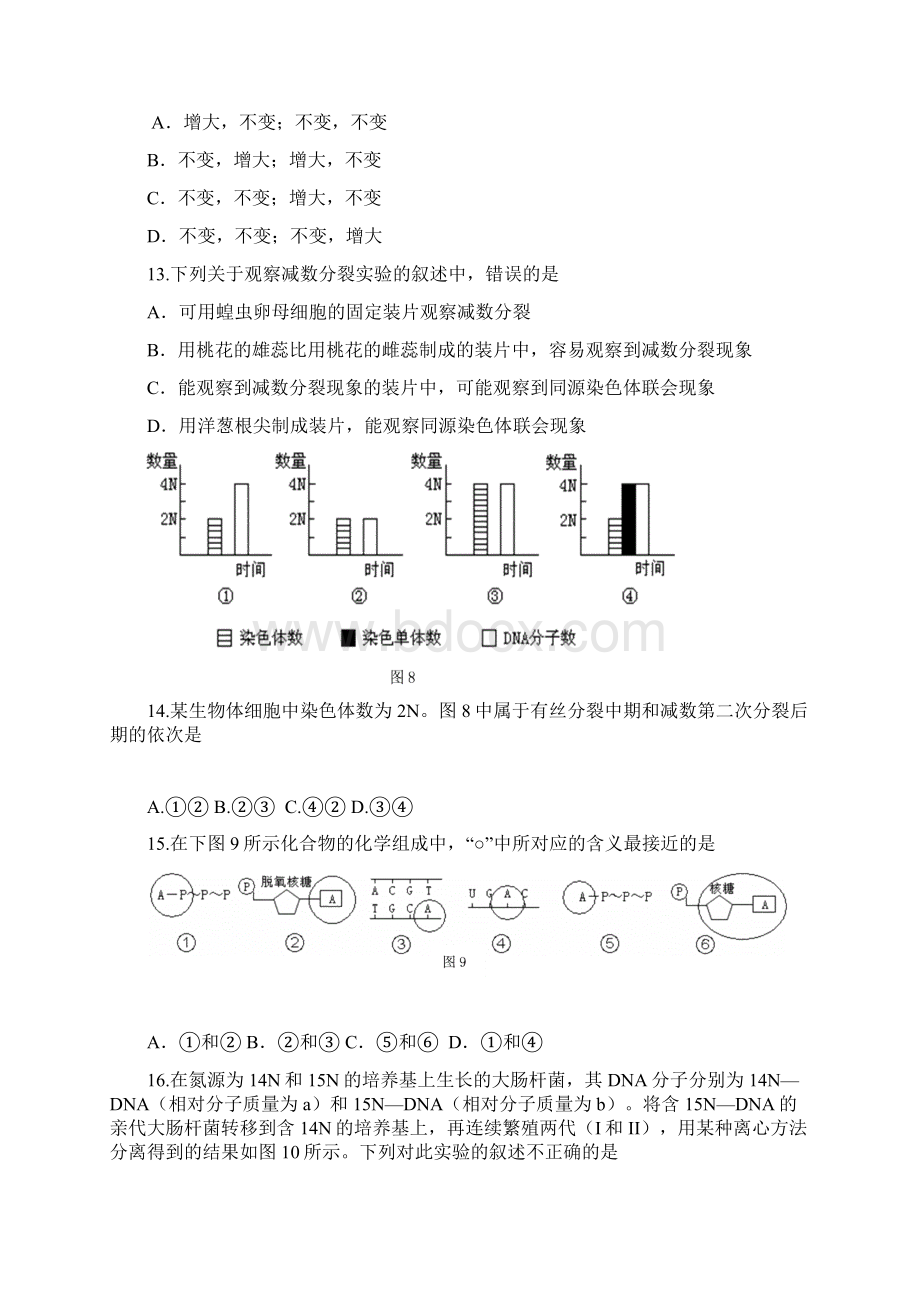 高三生物期末试题集锦二遗传与进化Word下载.docx_第3页