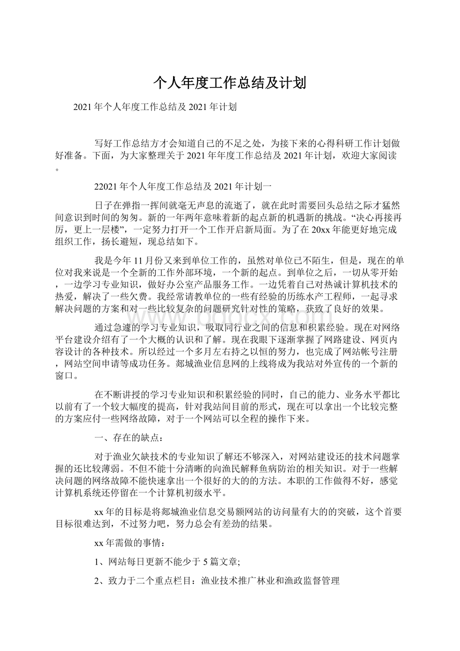 个人年度工作总结及计划.docx_第1页