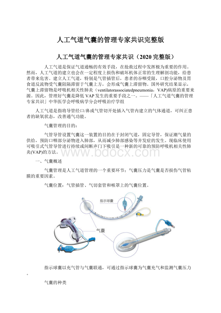 人工气道气囊的管理专家共识完整版.docx