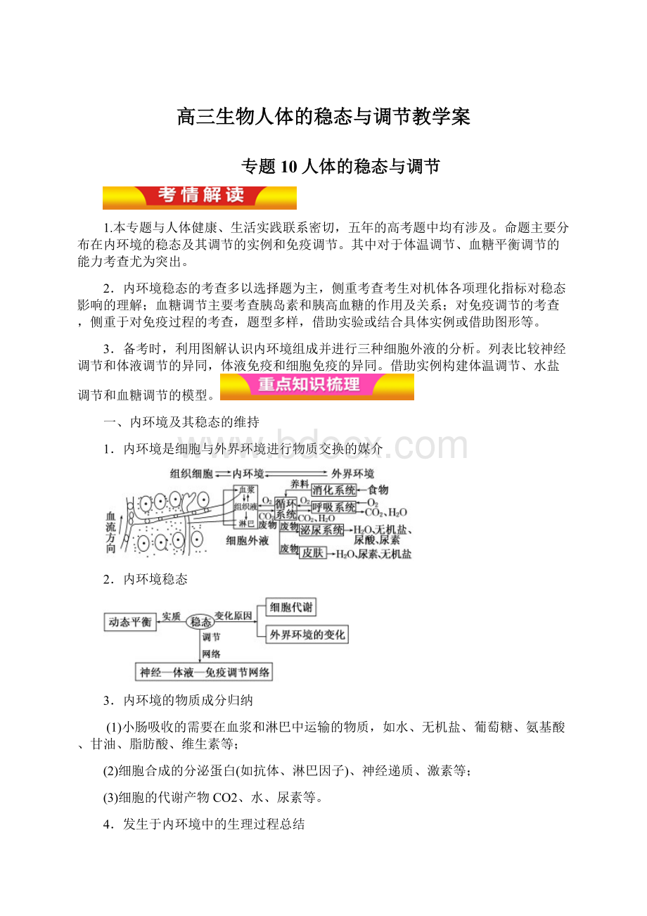 高三生物人体的稳态与调节教学案Word文档格式.docx