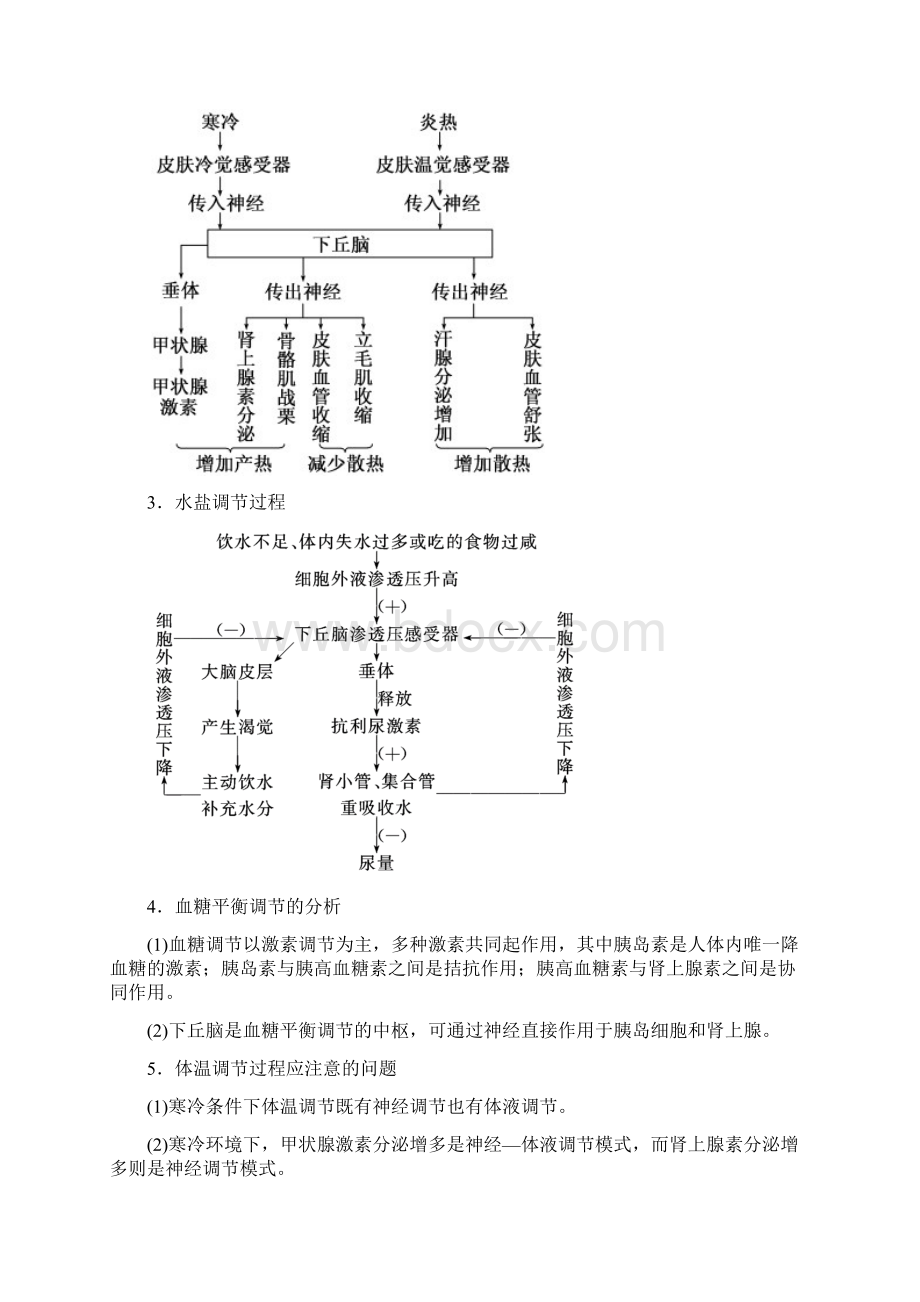 高三生物人体的稳态与调节教学案Word文档格式.docx_第3页