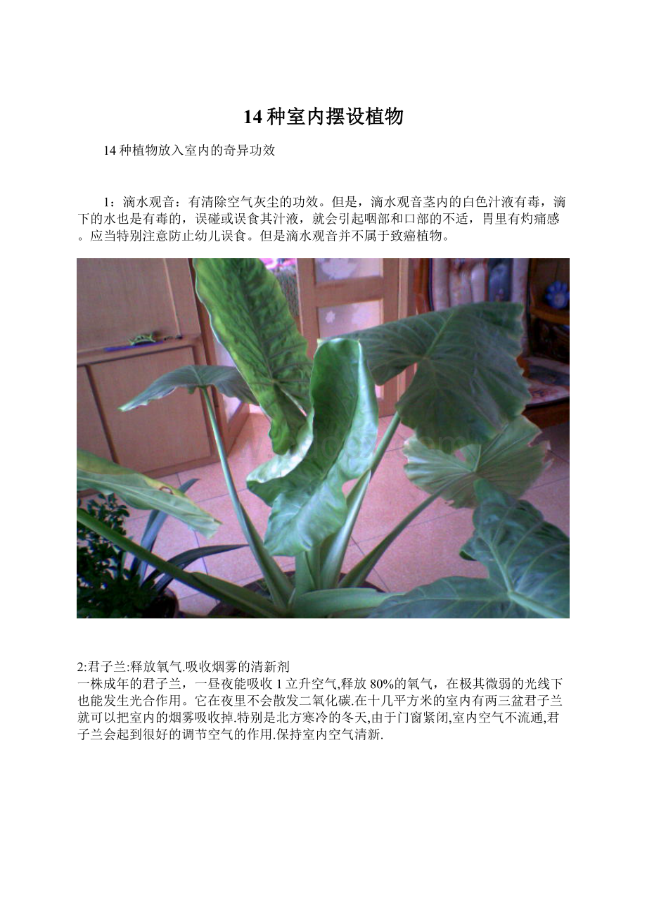 14种室内摆设植物.docx_第1页