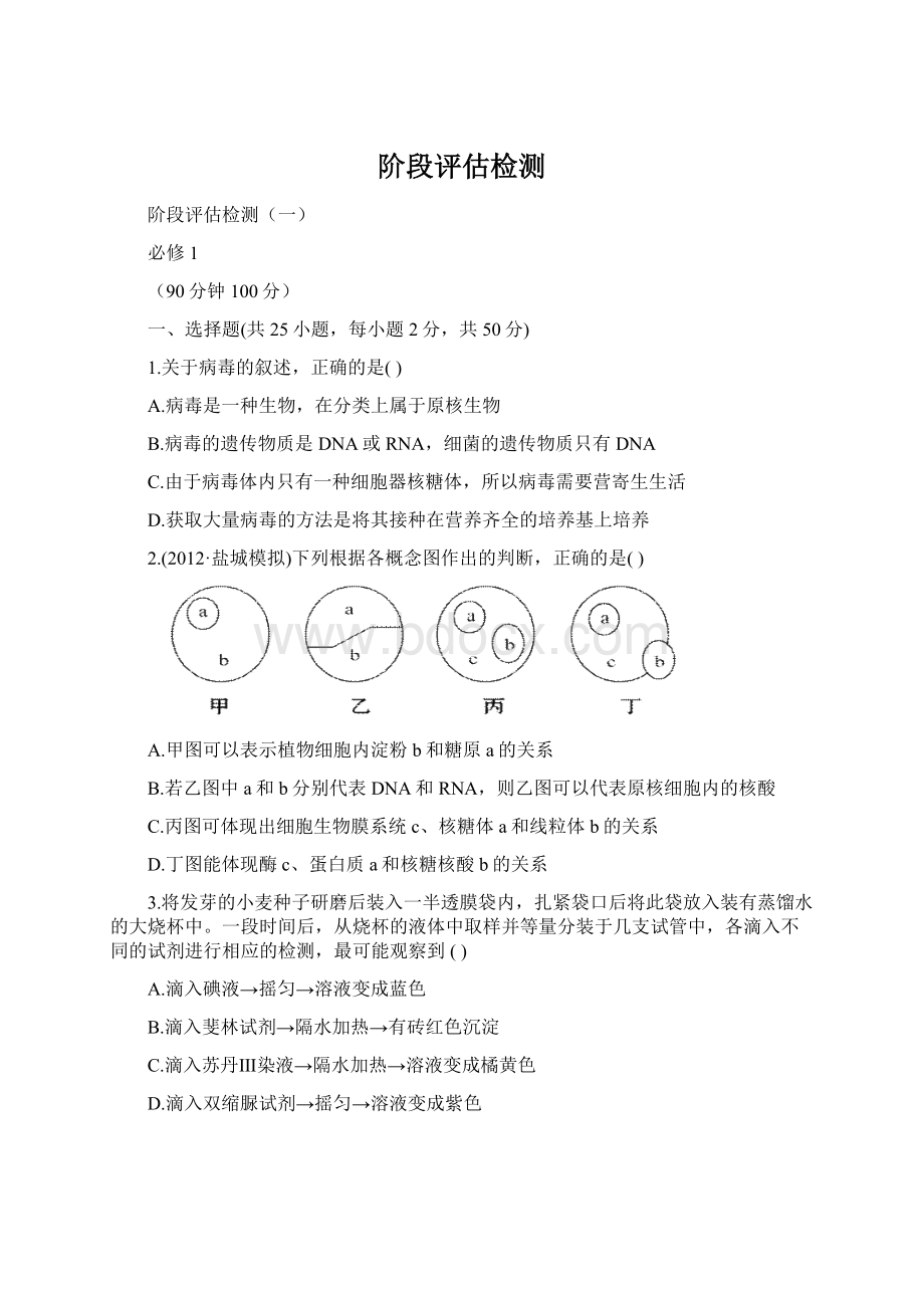 阶段评估检测Word文档格式.docx_第1页