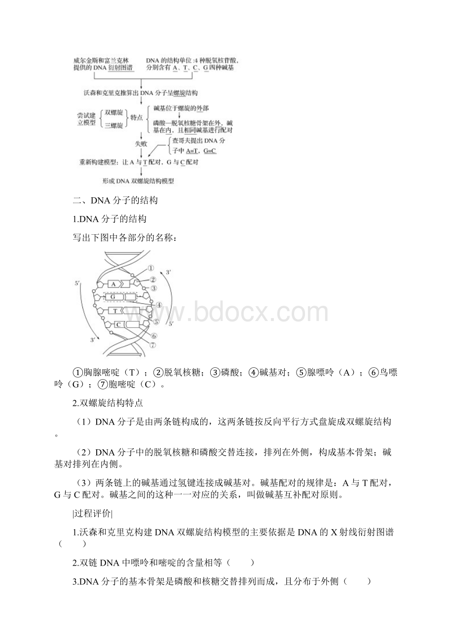 新课改地区高中生物第3章基因的本质第2节DNA分子的结构学案新人教版必修2Word格式文档下载.docx_第2页