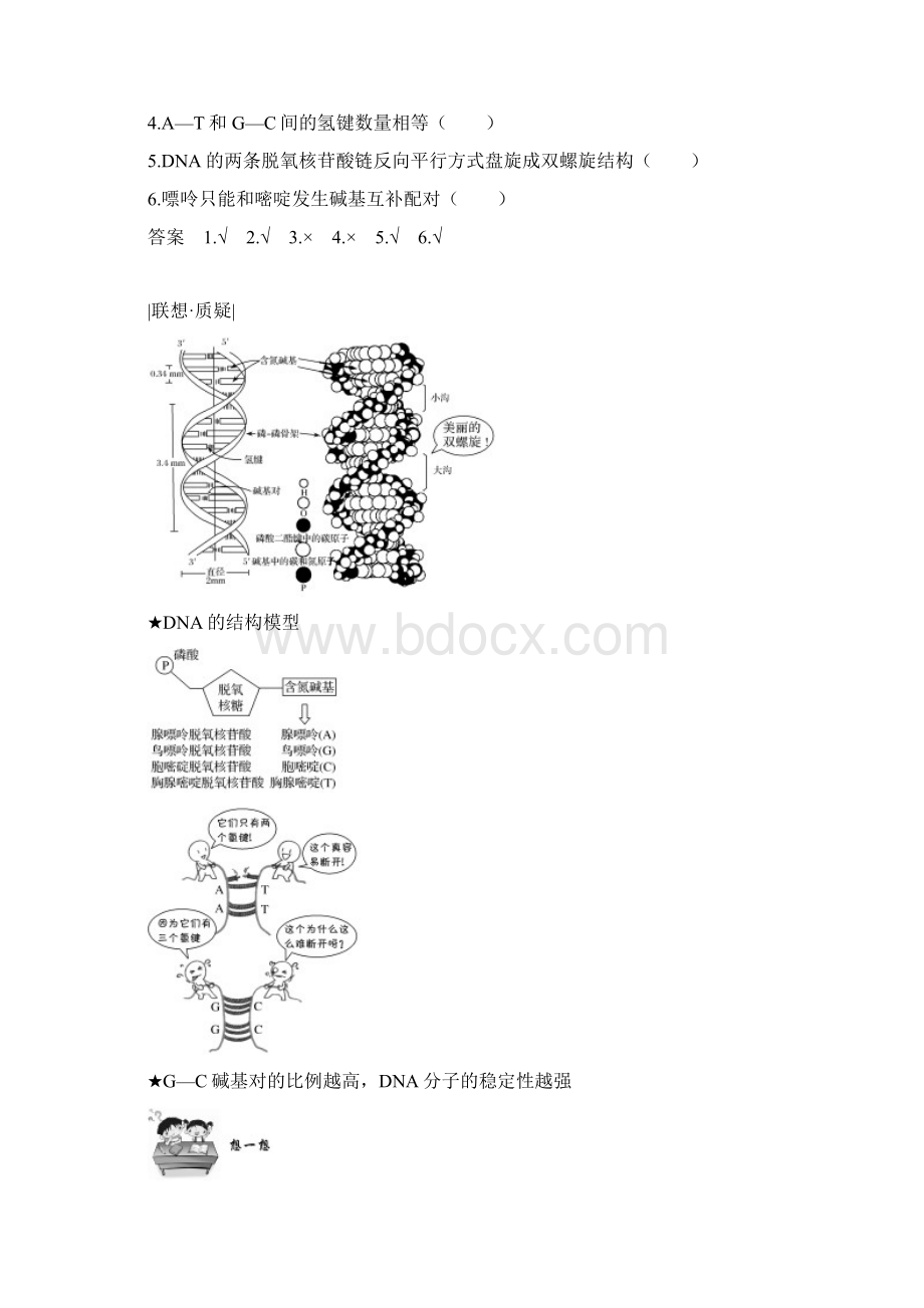 新课改地区高中生物第3章基因的本质第2节DNA分子的结构学案新人教版必修2Word格式文档下载.docx_第3页