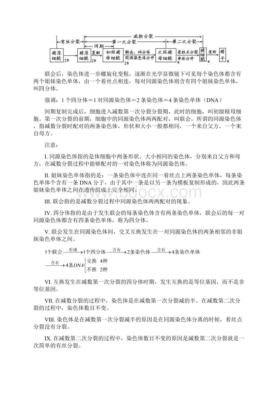 必修二第二章第一节减数分裂和受精作用Word格式.docx_第3页