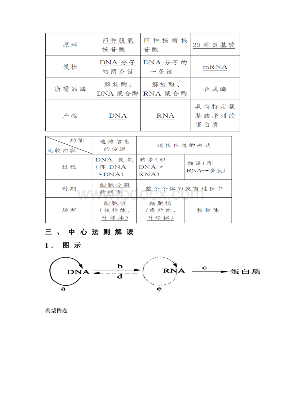 遗传分子基础Word文件下载.docx_第2页