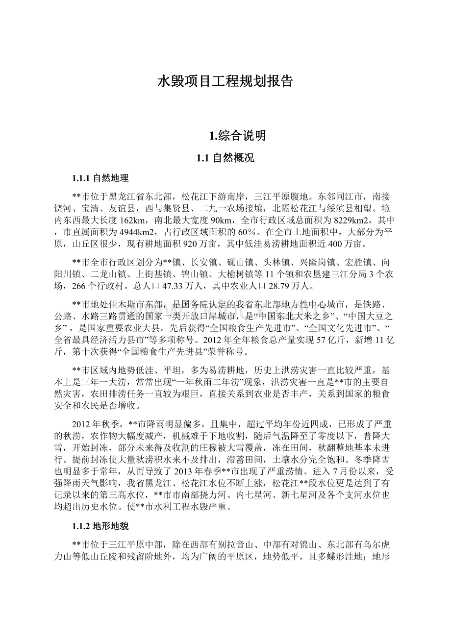 水毁项目工程规划报告Word文档格式.docx_第1页