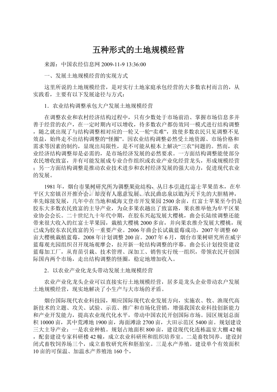 五种形式的土地规模经营文档格式.docx