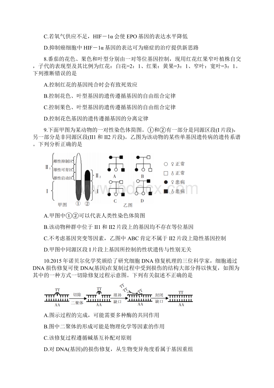 湖南省郴州市届高三上学期第一次质检 生物试题 Word版含答案.docx_第3页