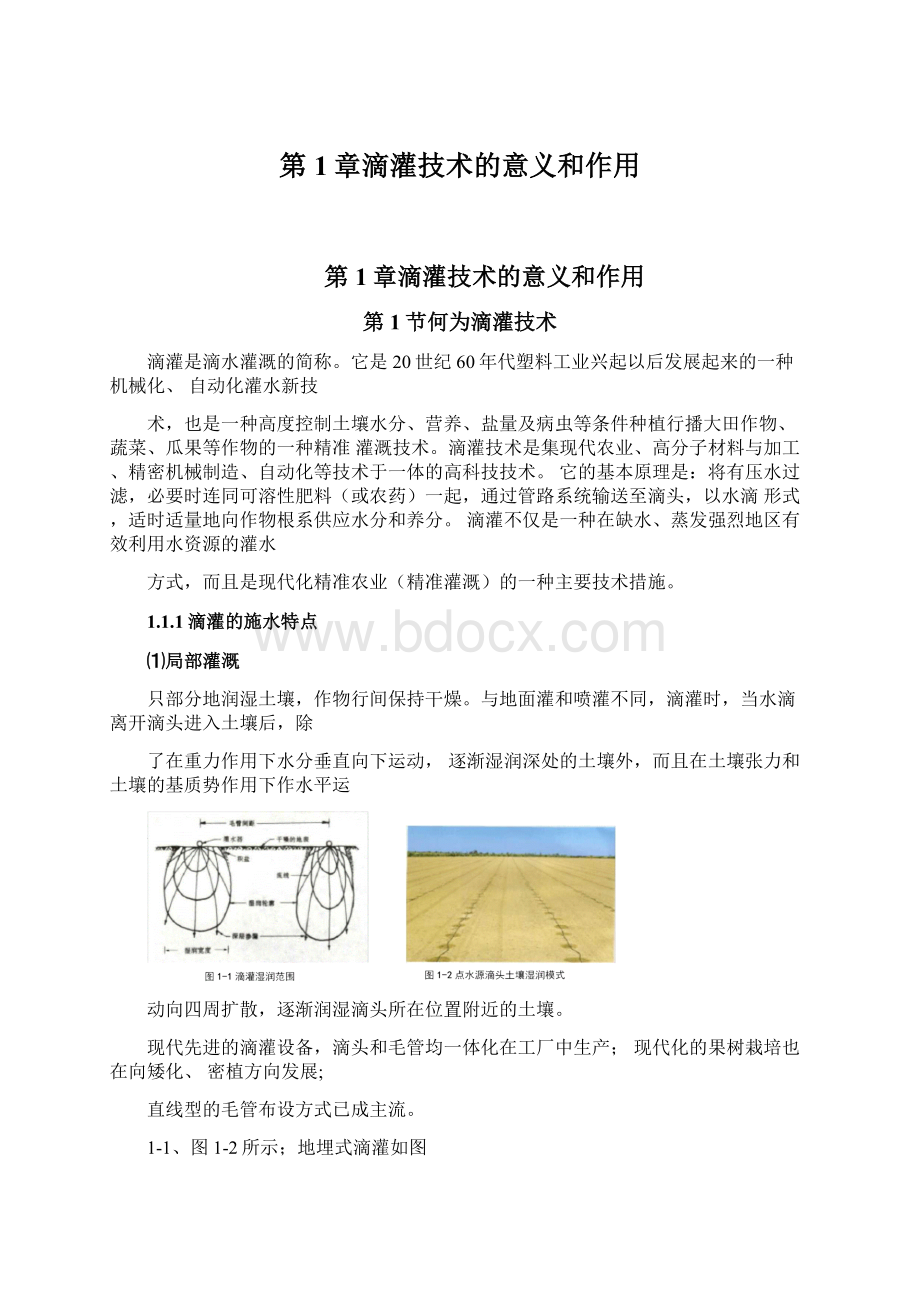 第1章滴灌技术的意义和作用文档格式.docx