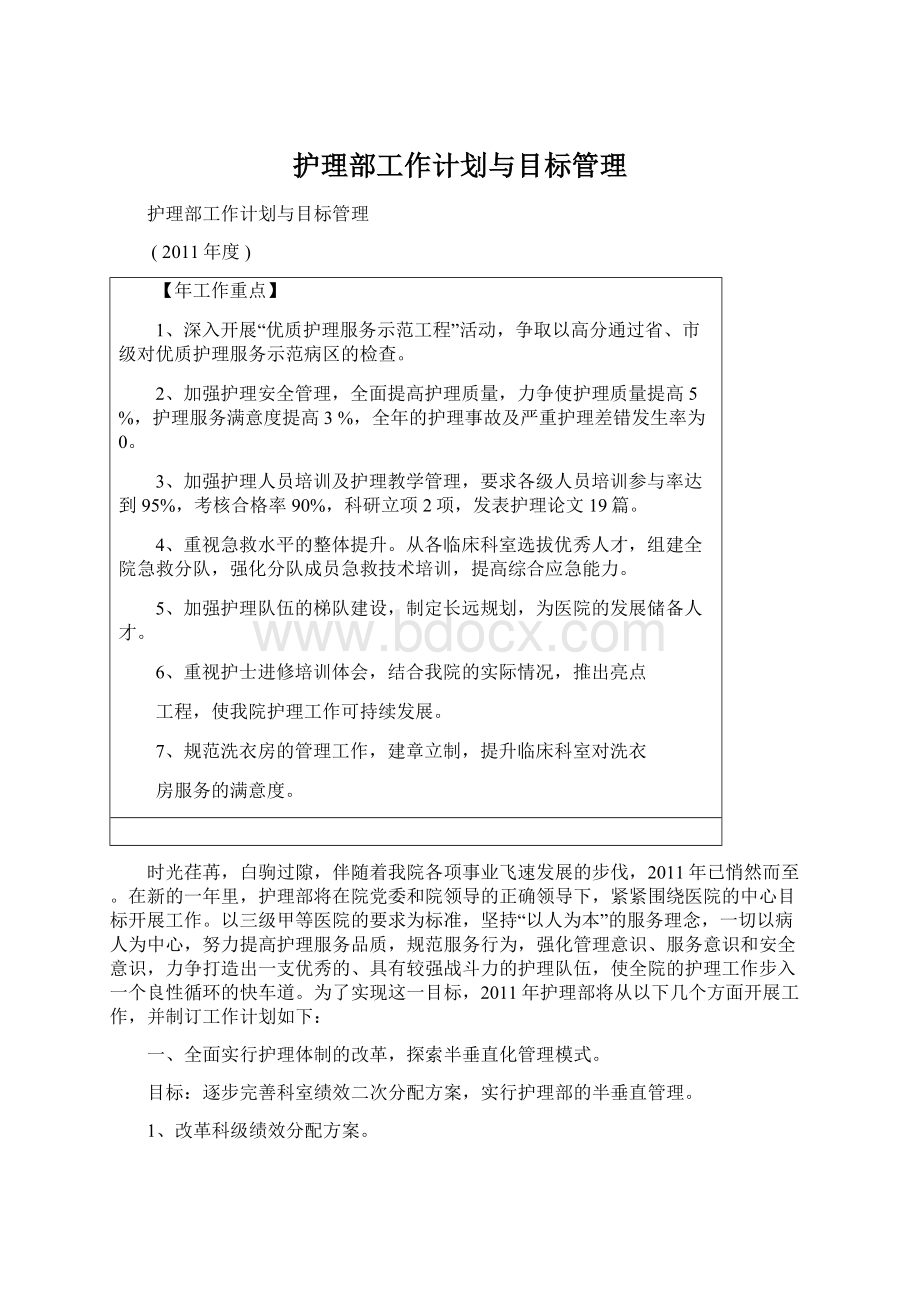 护理部工作计划与目标管理文档格式.docx