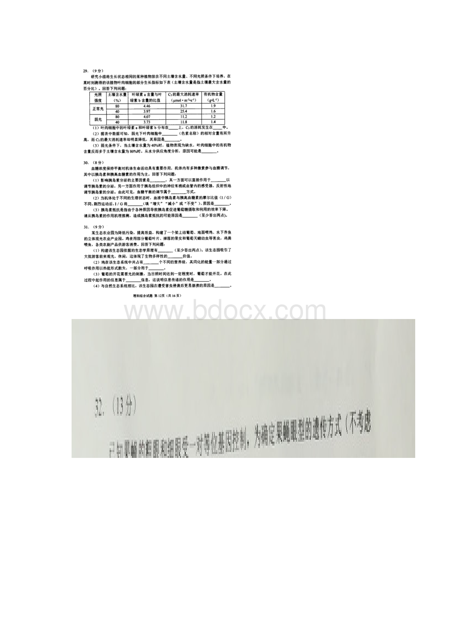 山东省日照市届高三校际联考理综生物试题含答案.docx_第3页