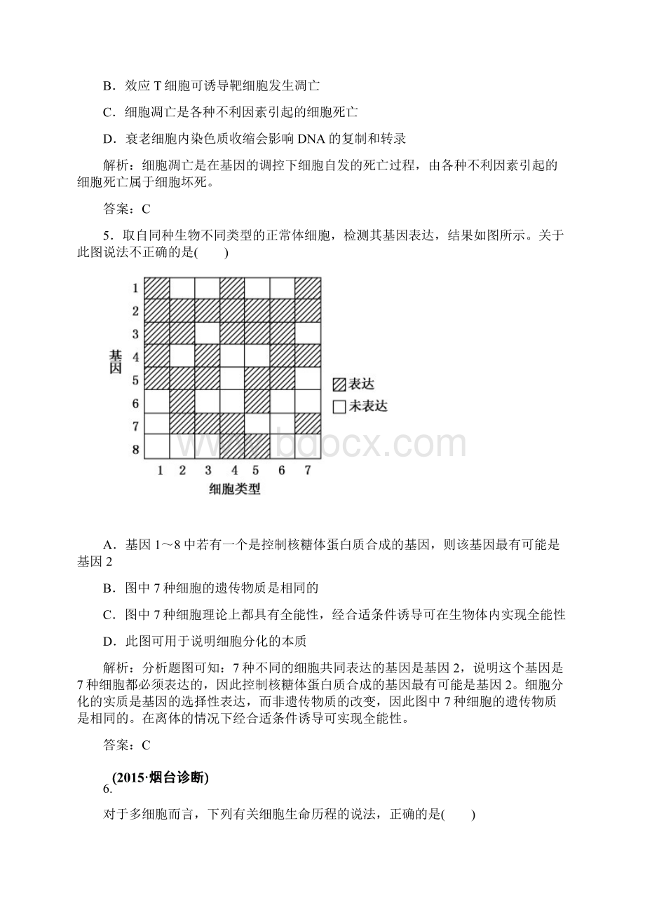 师说高考生物全程复习构想检测课时训练11细胞的分化衰老和凋亡癌变.docx_第2页