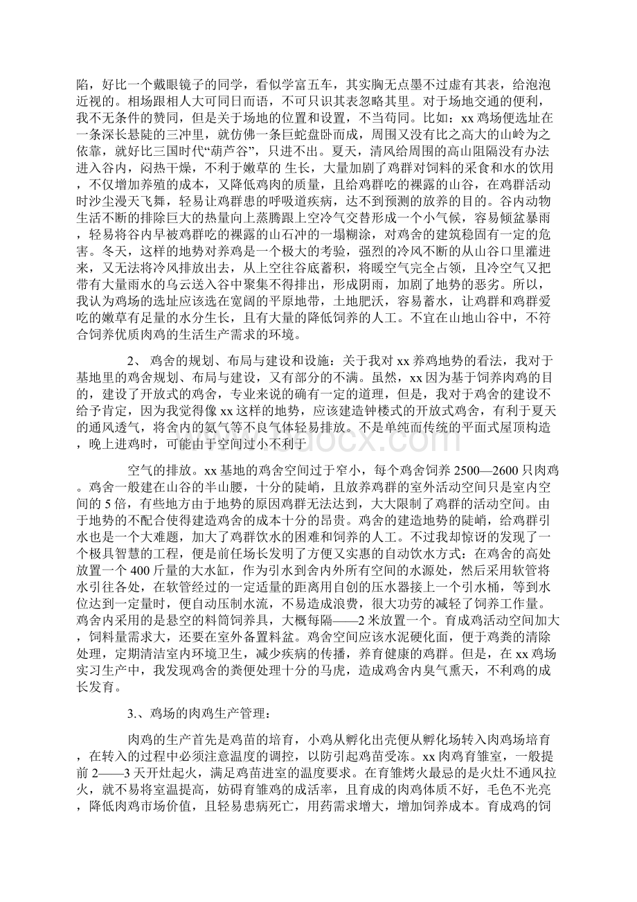 肉鸡场实习报告Word格式文档下载.docx_第2页