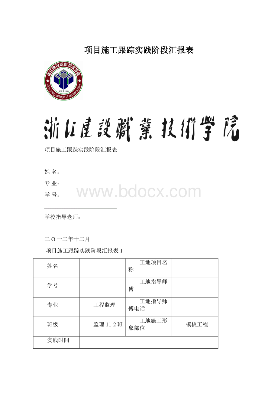 项目施工跟踪实践阶段汇报表.docx