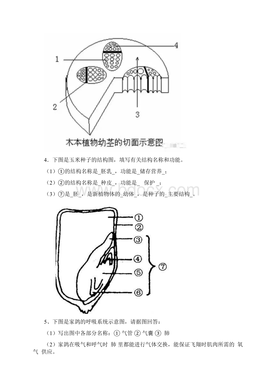 中考生物常考的识图填空题汇总.docx_第3页