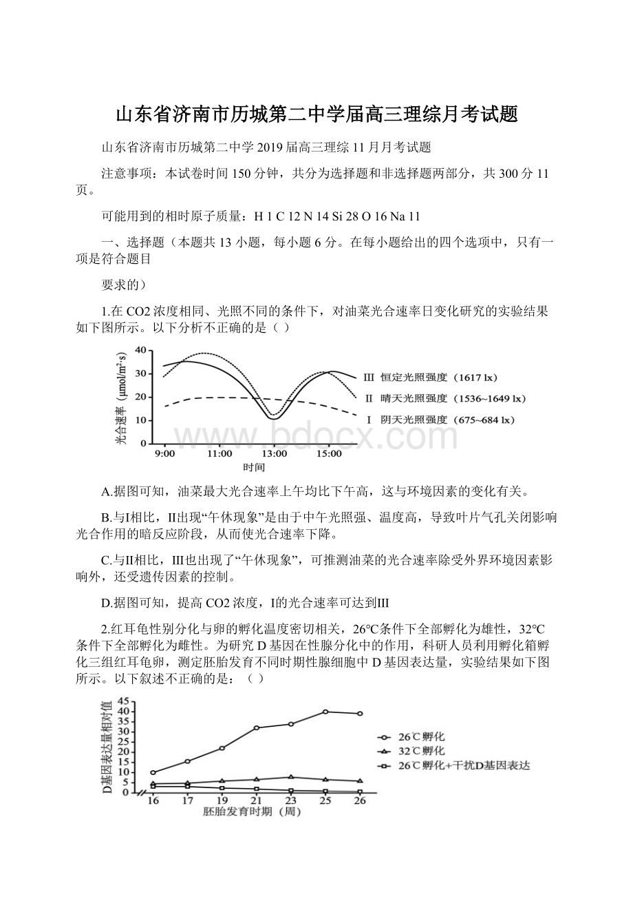 山东省济南市历城第二中学届高三理综月考试题Word格式文档下载.docx