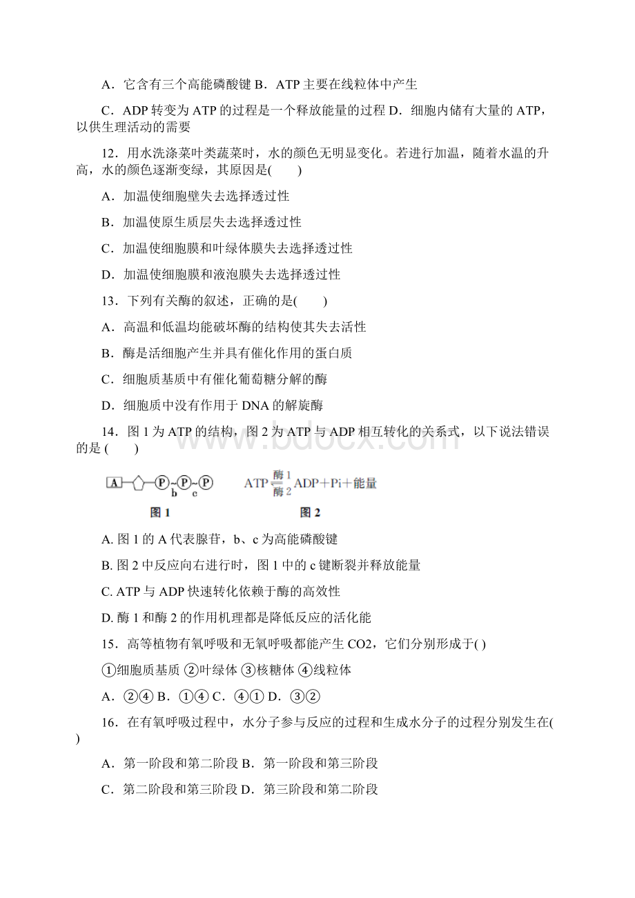 江苏省东台市创新学校届高三月考生物试题附答案809059.docx_第3页