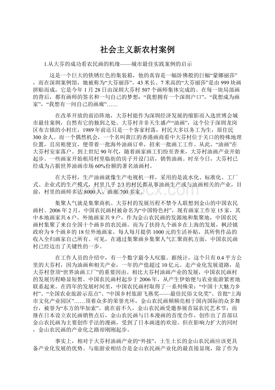 社会主义新农村案例文档格式.docx