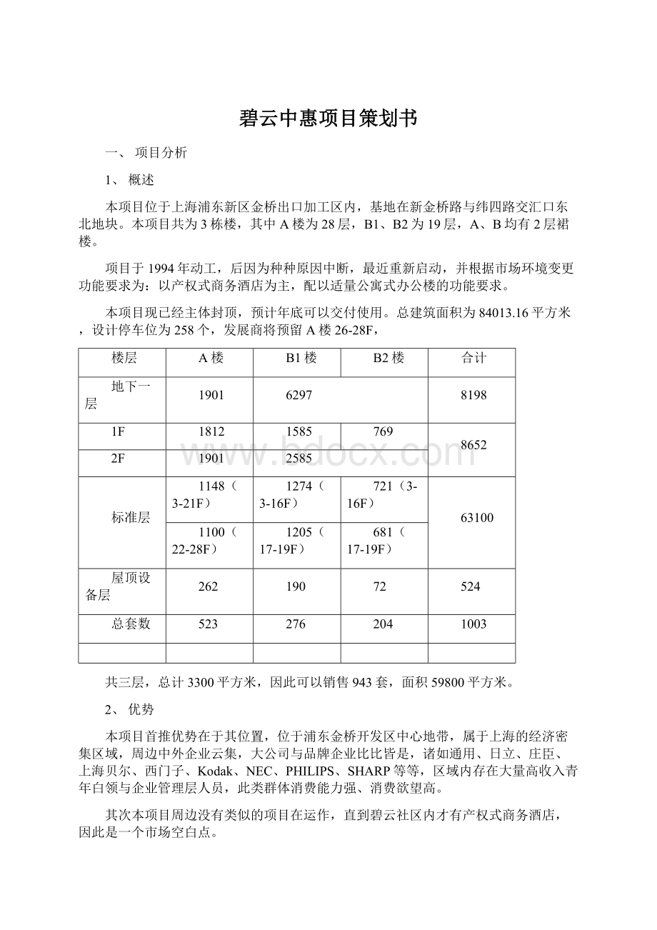 碧云中惠项目策划书.docx