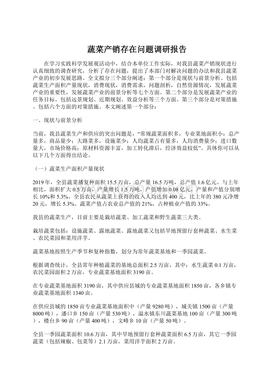 蔬菜产销存在问题调研报告Word文档格式.docx