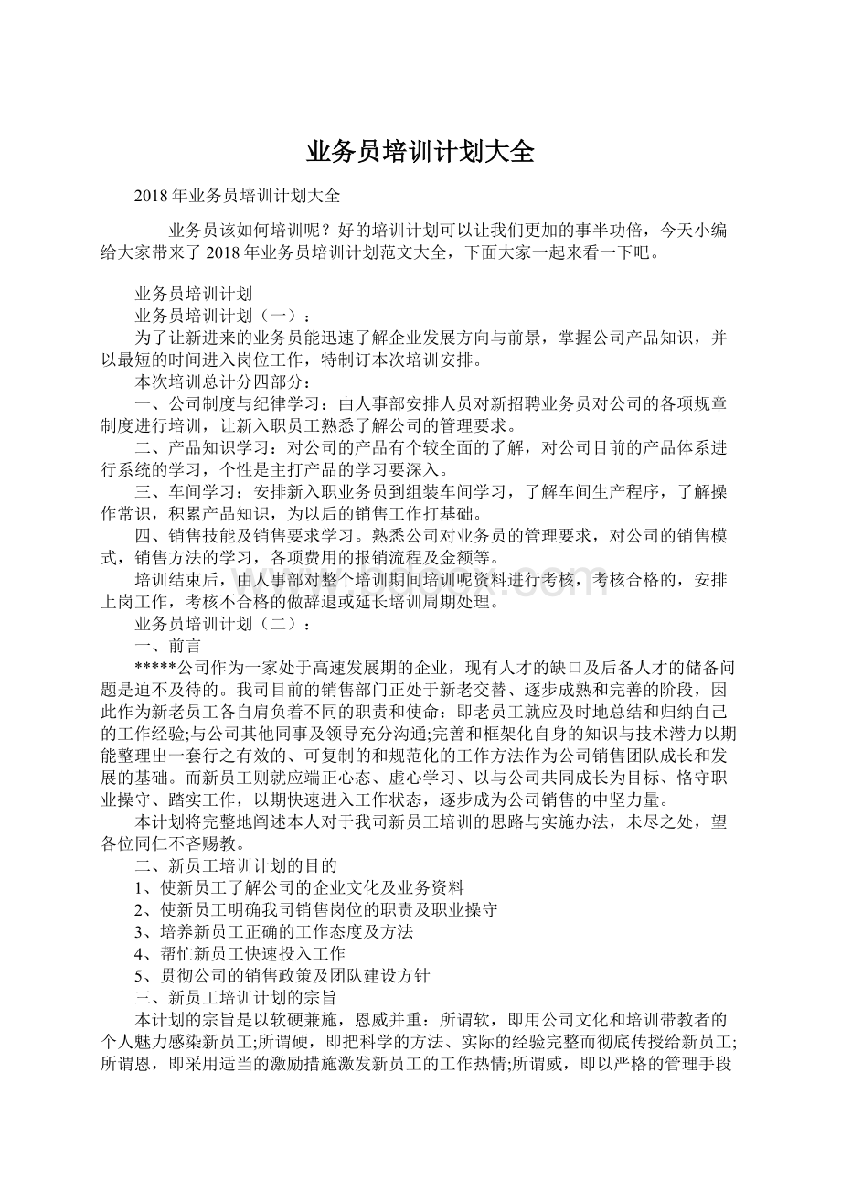 业务员培训计划大全Word文档格式.docx