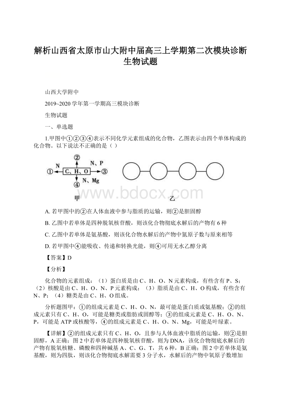 解析山西省太原市山大附中届高三上学期第二次模块诊断生物试题.docx_第1页