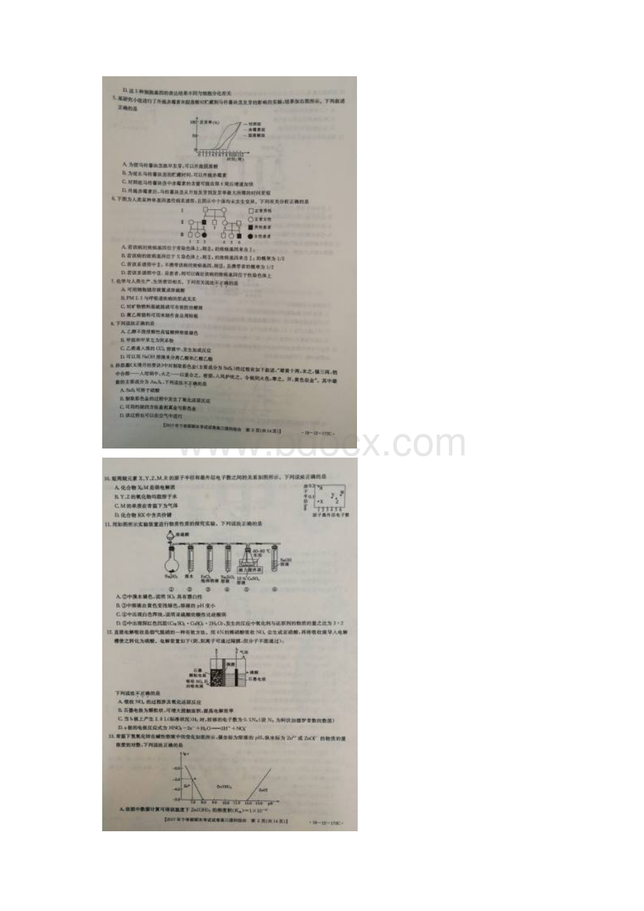 湖南省邵阳市届高三上学期期末考试理科综合试题 扫描版含答案.docx_第2页