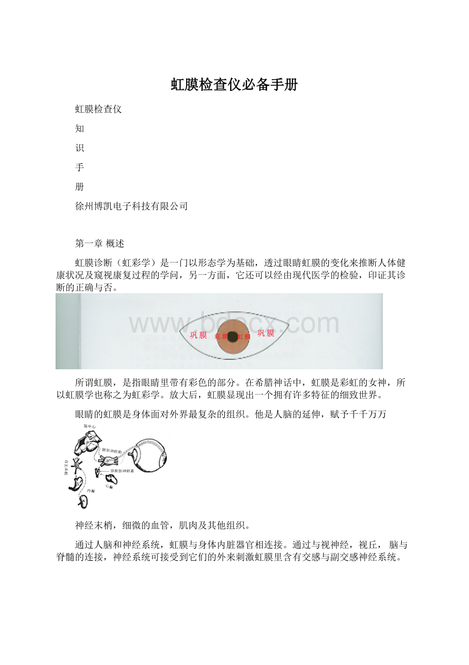 虹膜检查仪必备手册Word文档下载推荐.docx_第1页