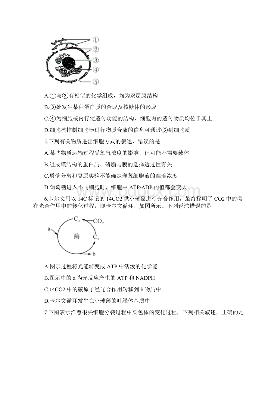 学年高一生物下学期期末联考试题新版新目标版Word文档下载推荐.docx_第2页