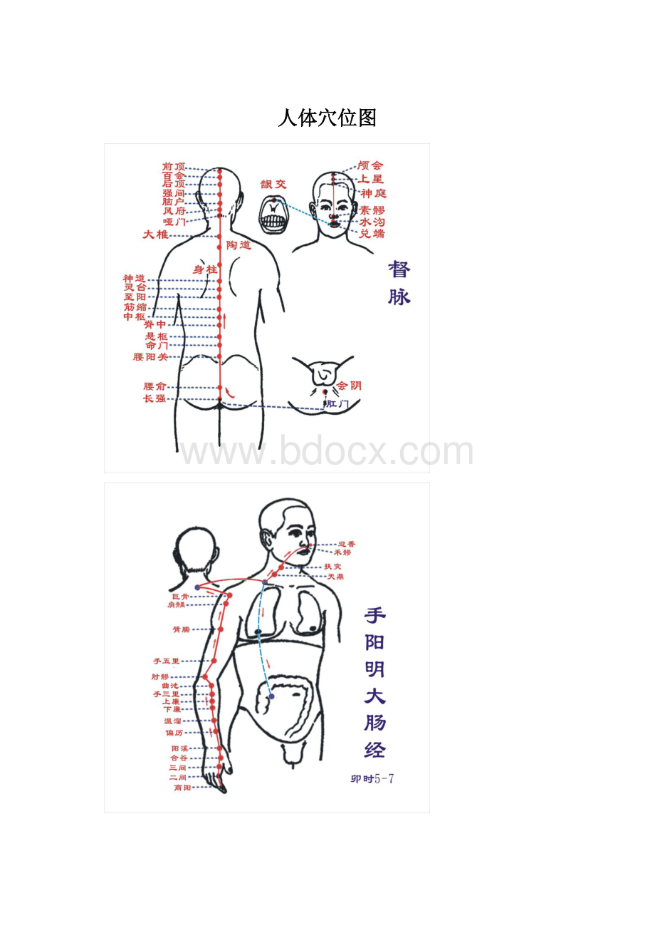 人体穴位图.docx_第1页