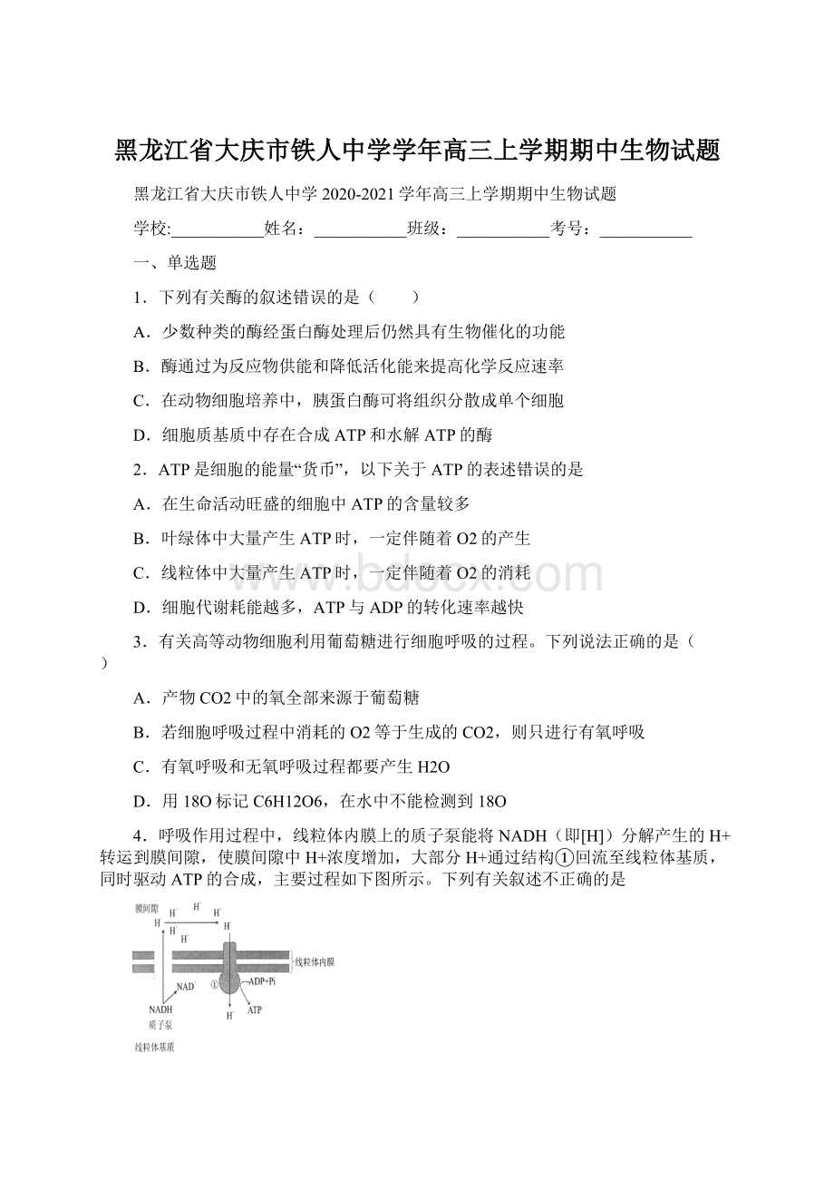 黑龙江省大庆市铁人中学学年高三上学期期中生物试题.docx_第1页