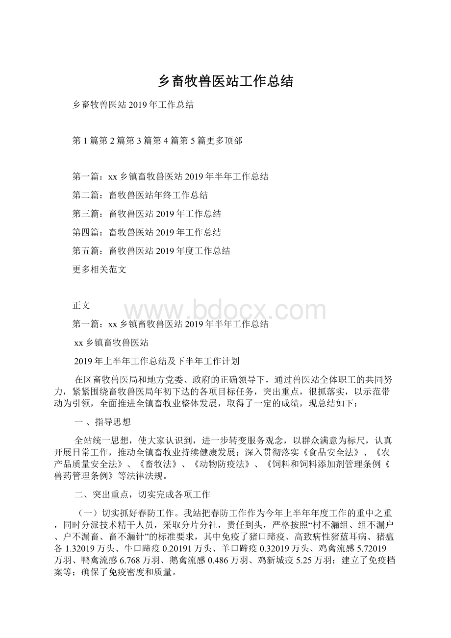 乡畜牧兽医站工作总结文档格式.docx_第1页