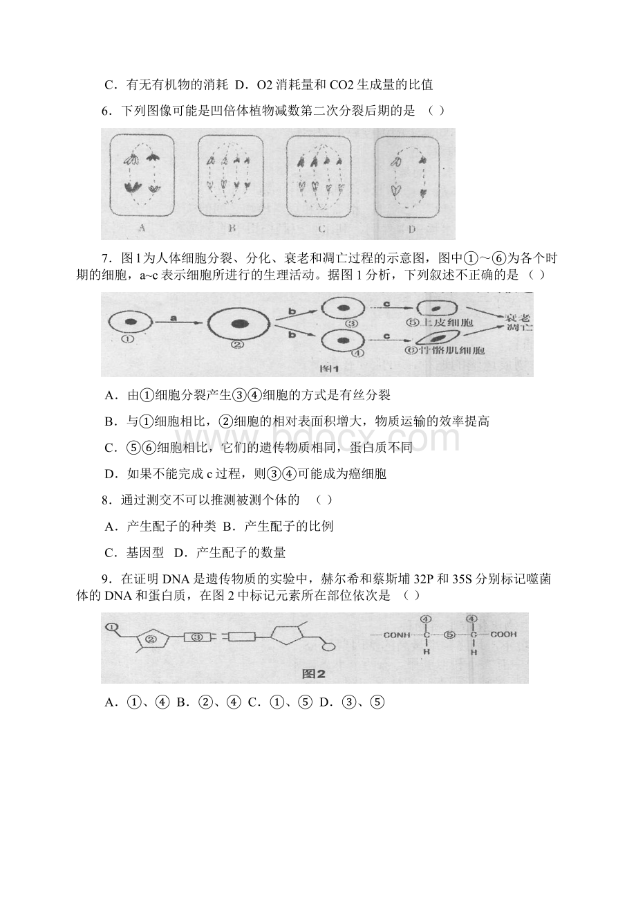 考试必备辽宁省大连24中届高三期中考试Ⅱ生物.docx_第2页