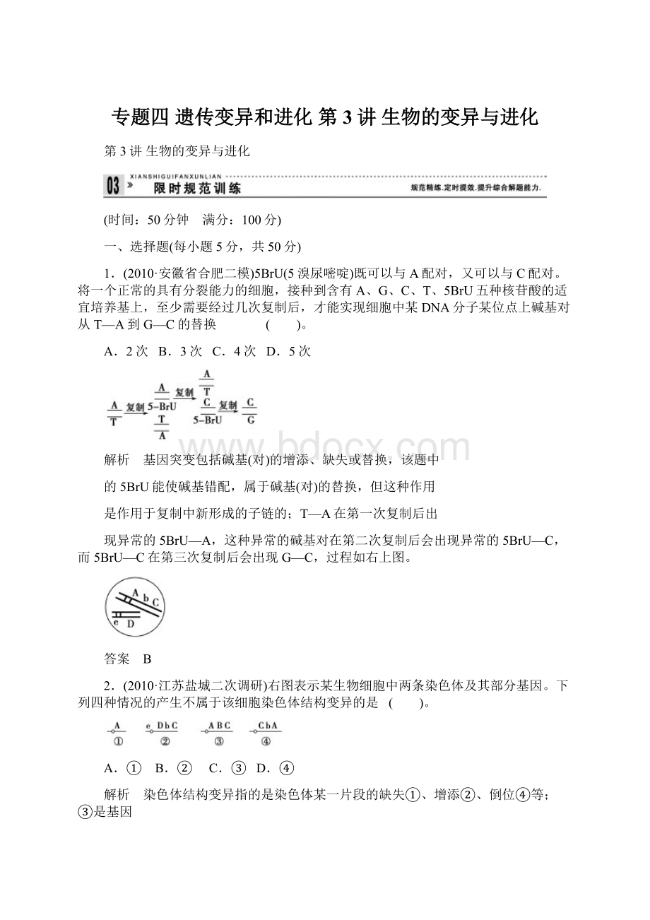 专题四 遗传变异和进化 第3讲生物的变异与进化.docx_第1页