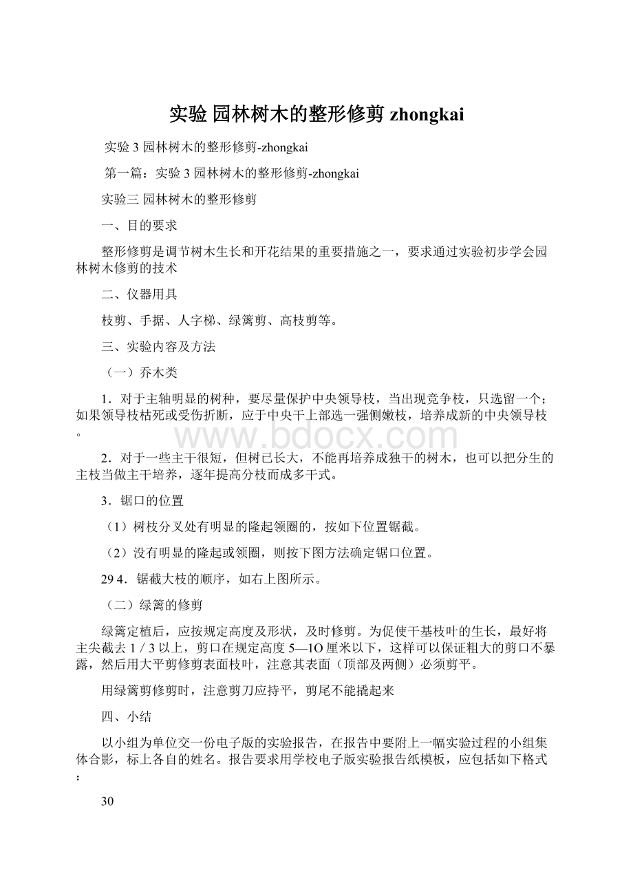 实验 园林树木的整形修剪zhongkaiWord下载.docx