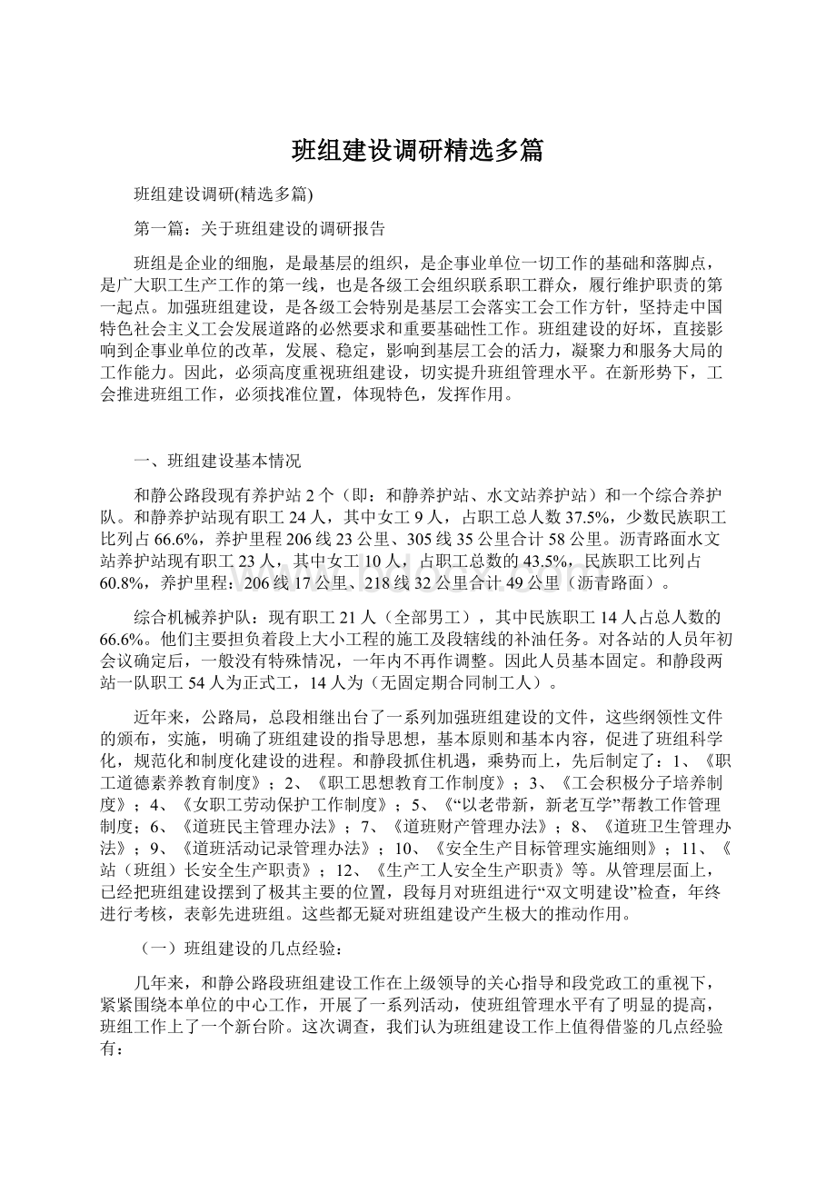 班组建设调研精选多篇.docx_第1页