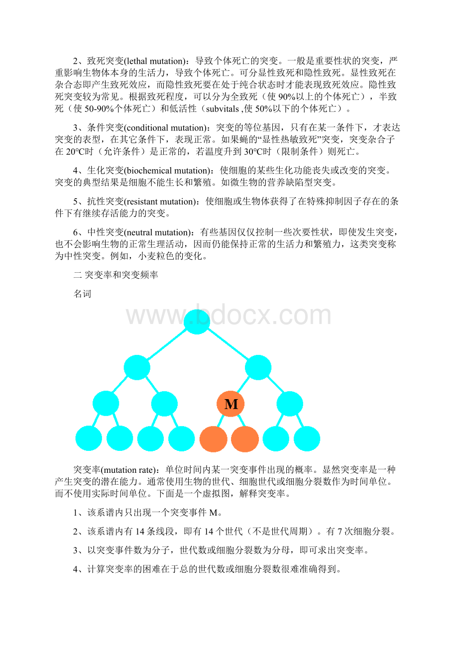 第七章 基因突变文档格式.docx_第2页