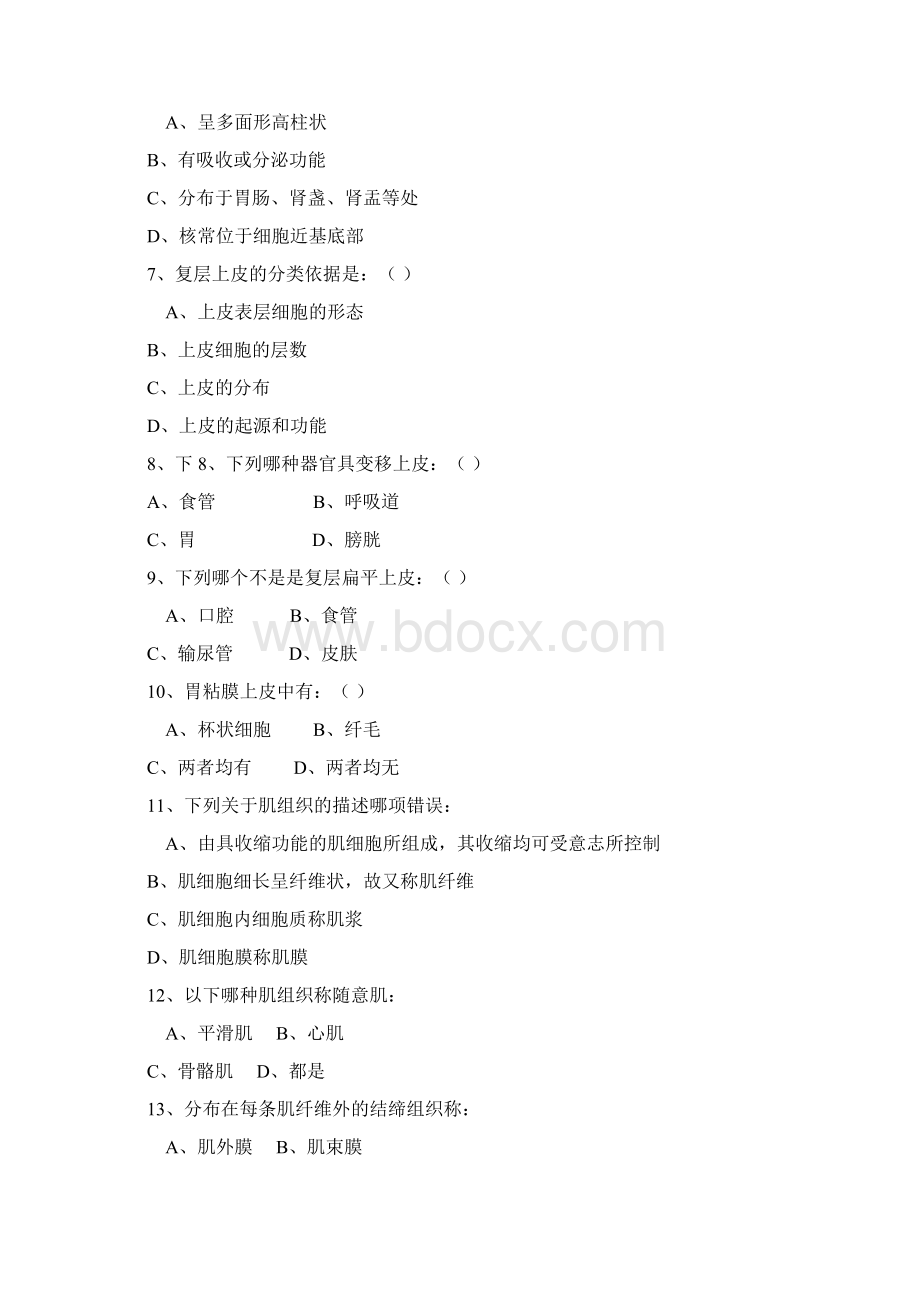 解剖暑假作业Word格式文档下载.docx_第2页