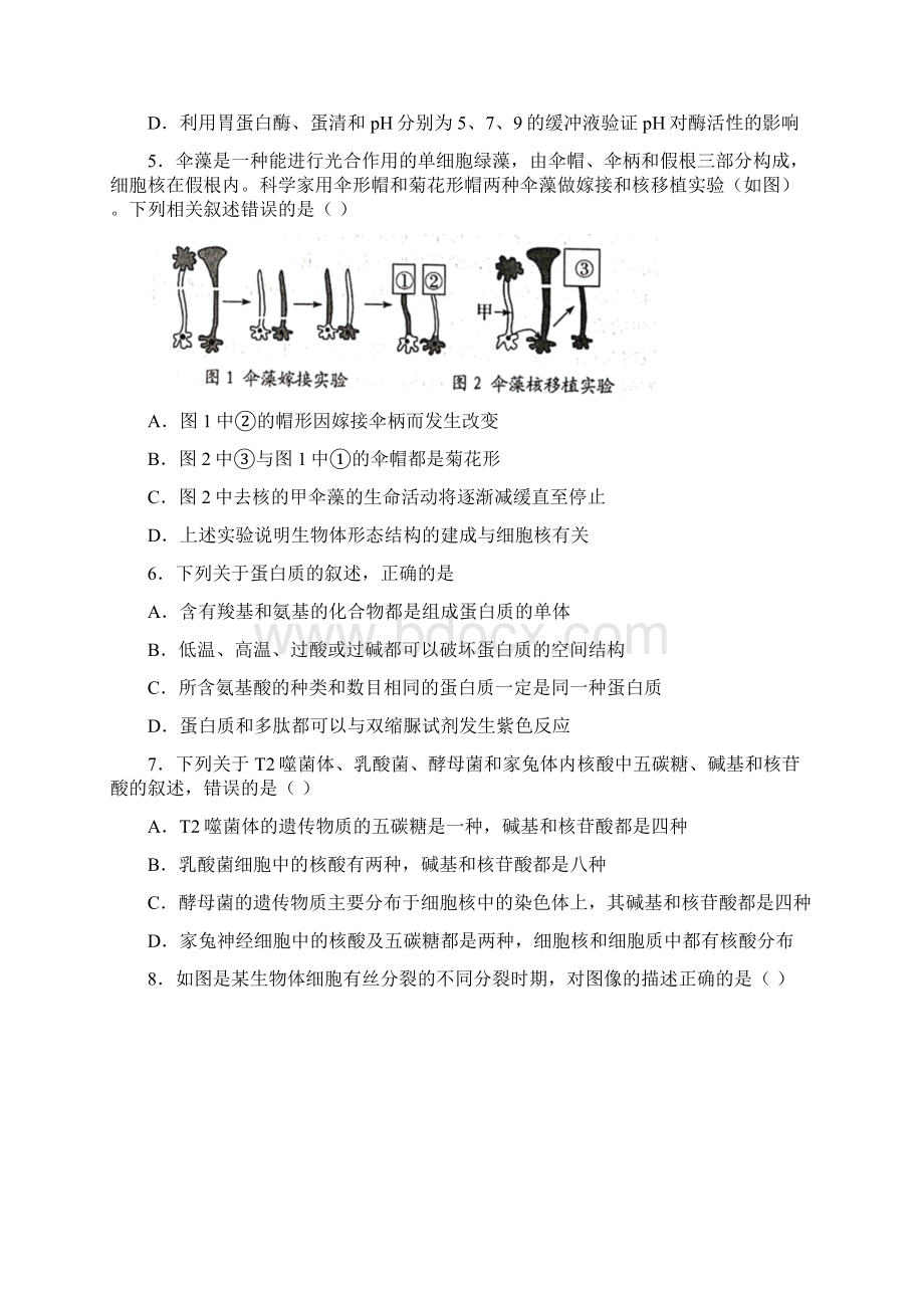 宜昌市 高中生物必修一测试题附答案.docx_第2页