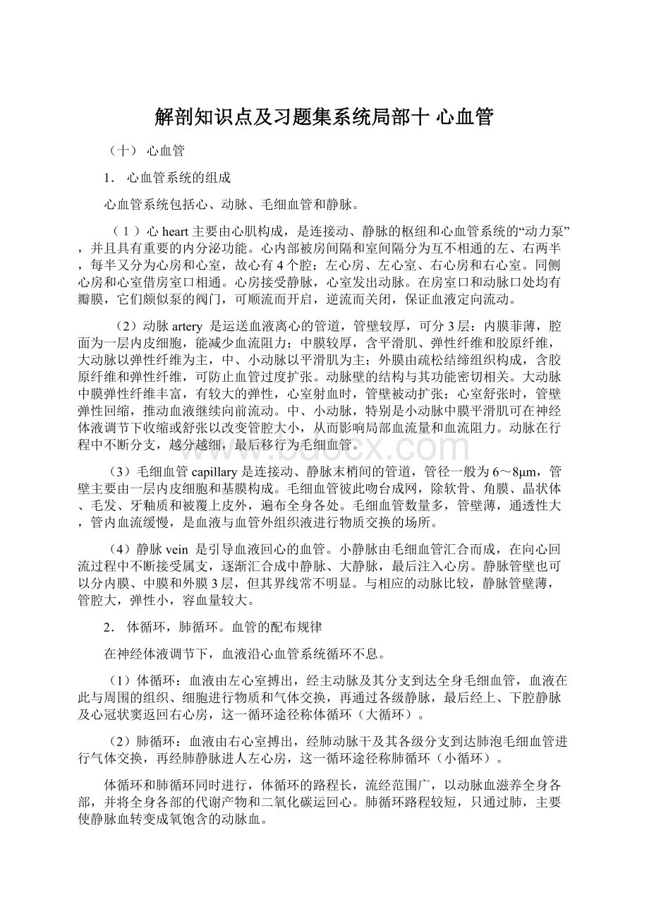 解剖知识点及习题集系统局部十 心血管.docx_第1页