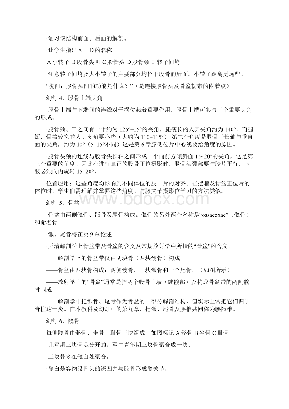 整理第7章股骨.docx_第2页