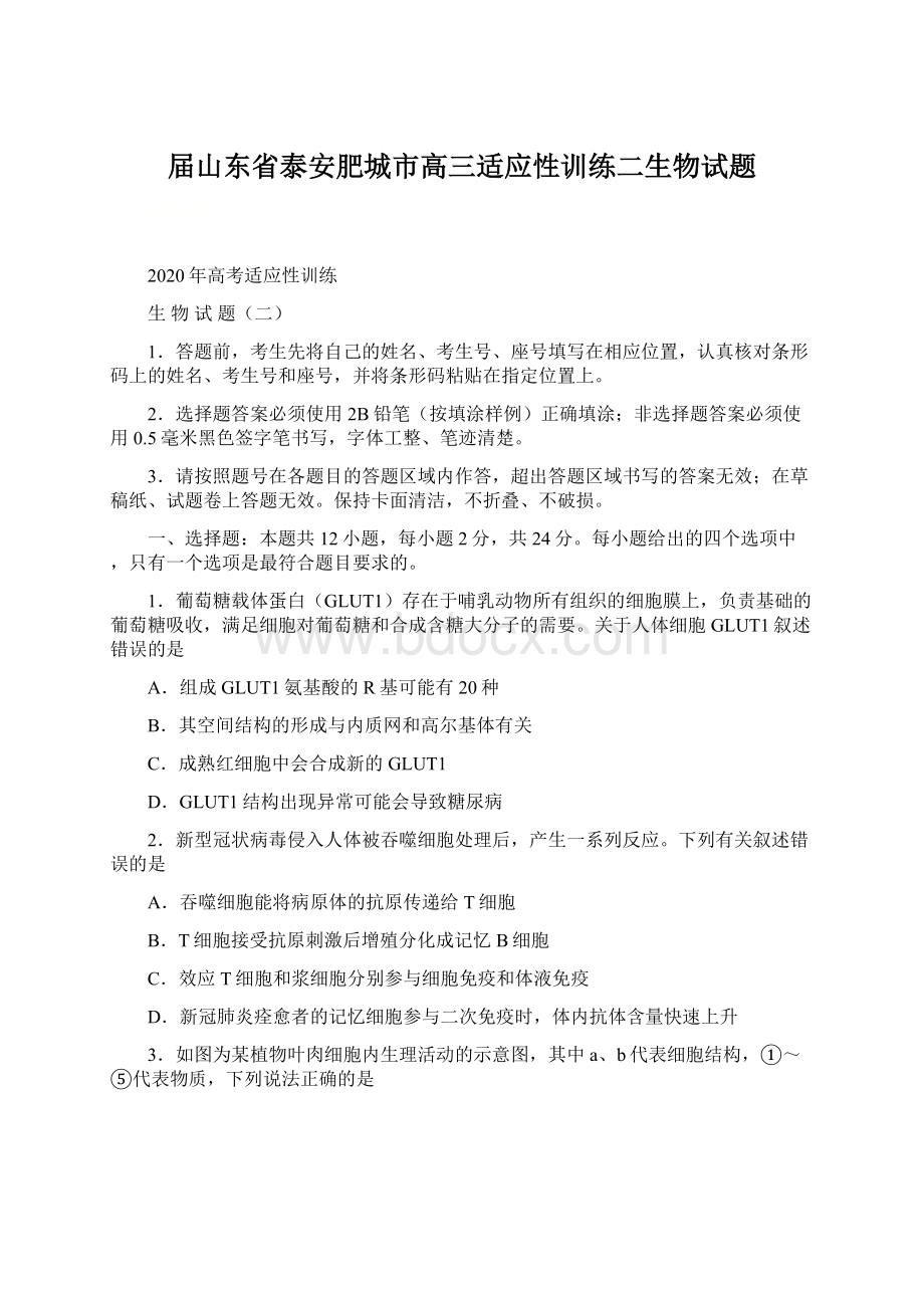 届山东省泰安肥城市高三适应性训练二生物试题Word下载.docx