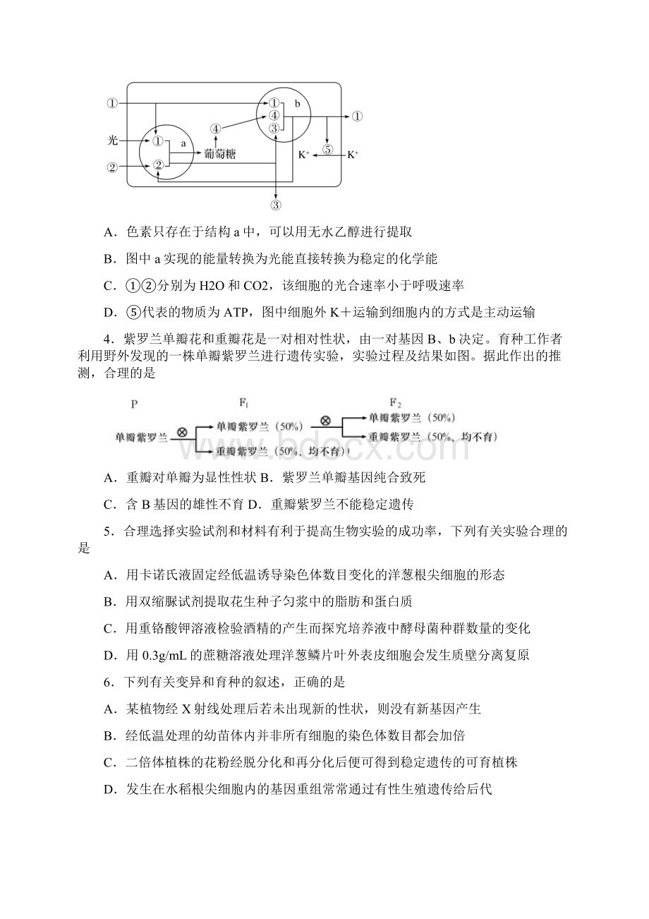 届山东省泰安肥城市高三适应性训练二生物试题.docx_第2页