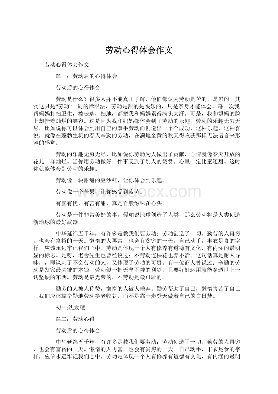 劳动心得体会作文文档格式.docx