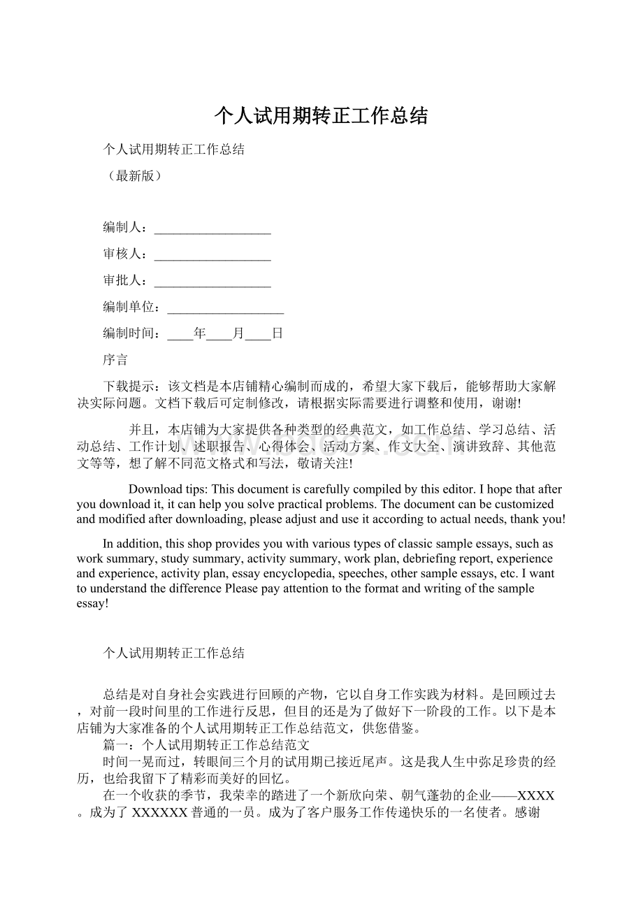 个人试用期转正工作总结Word文档格式.docx