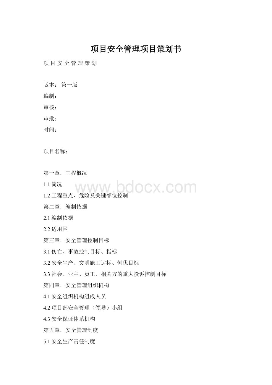 项目安全管理项目策划书Word格式.docx