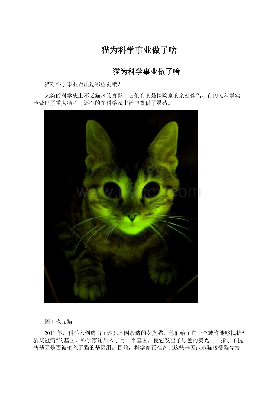 猫为科学事业做了啥文档格式.docx_第1页