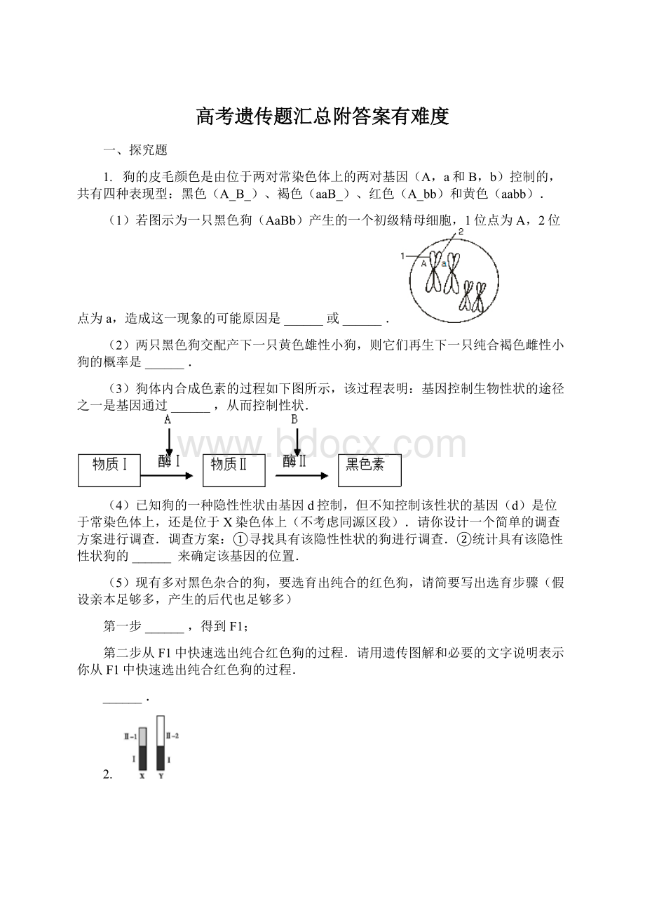 高考遗传题汇总附答案有难度Word下载.docx